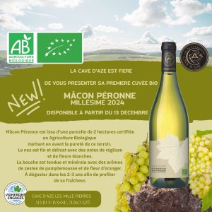 Orange Blue Panoramic Painting Project Presentation (28.575 x 28.575 cm) (2)