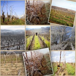 Instagram Post Feed Photo Collage Travel Memories Minimalist Photo Gallery Grid