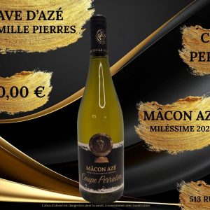 Présentation professionnel présentation produit vins moderne et élégant rouge bordeaux et blanc (6)