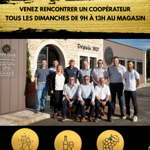 Dégustation de Vin Affiche Vert Beige Simple