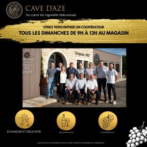 Dégustation de Vin Affiche Vert Beige Simple (28.575 x 28.575 cm)