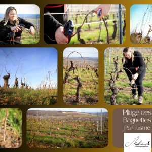 Post Facebook Vision Board Collage Photo de Famille Beige et Marron (1)