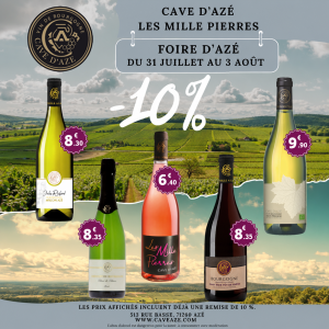 Affiche promo foire aze
