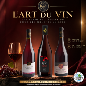 Affiche de pinot noir bouteille