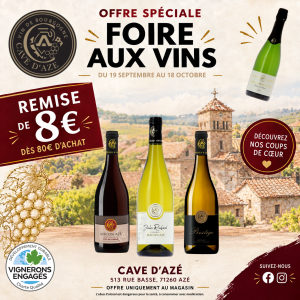 FOIRE AUX VINS